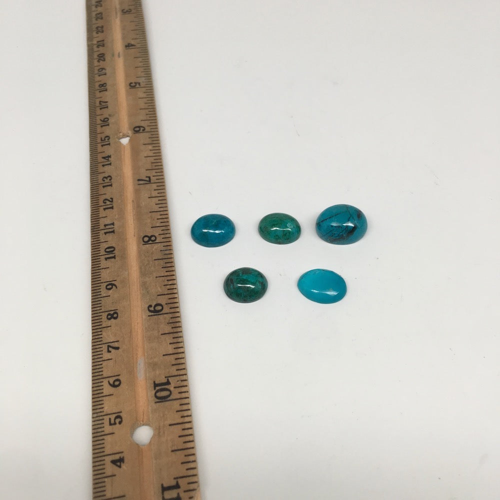 42 cts, 5pcs, Natural Oval Flat Bottom Chrysocolla Cabochons @Mexico,Lot29