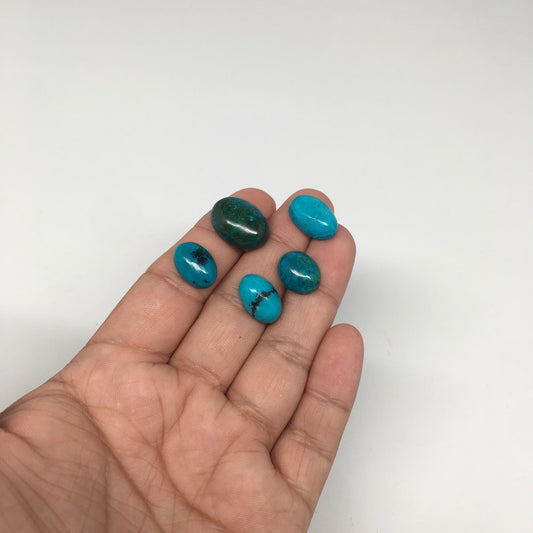 40.5 cts, 5pcs, Natural Oval Flat Bottom Chrysocolla Cabochons @Mexico,Lot30