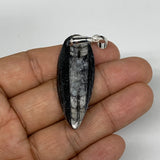 5.9g, 1.8"x0.7"x0.1", Natural Fossils Orthoceras Pendant (Straight Horn),B12520