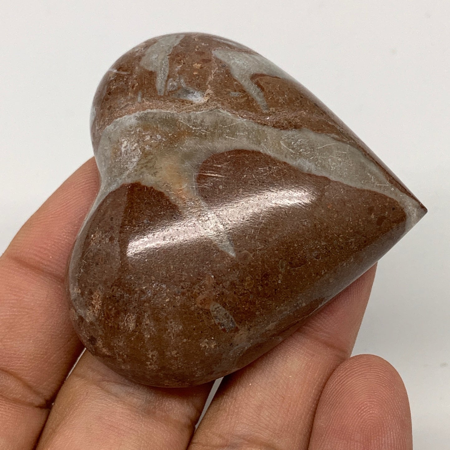 54.9g,1.9"x2"x0.7" Natural Untreated Red Shell Fossils Half Heart @Morocco,F956