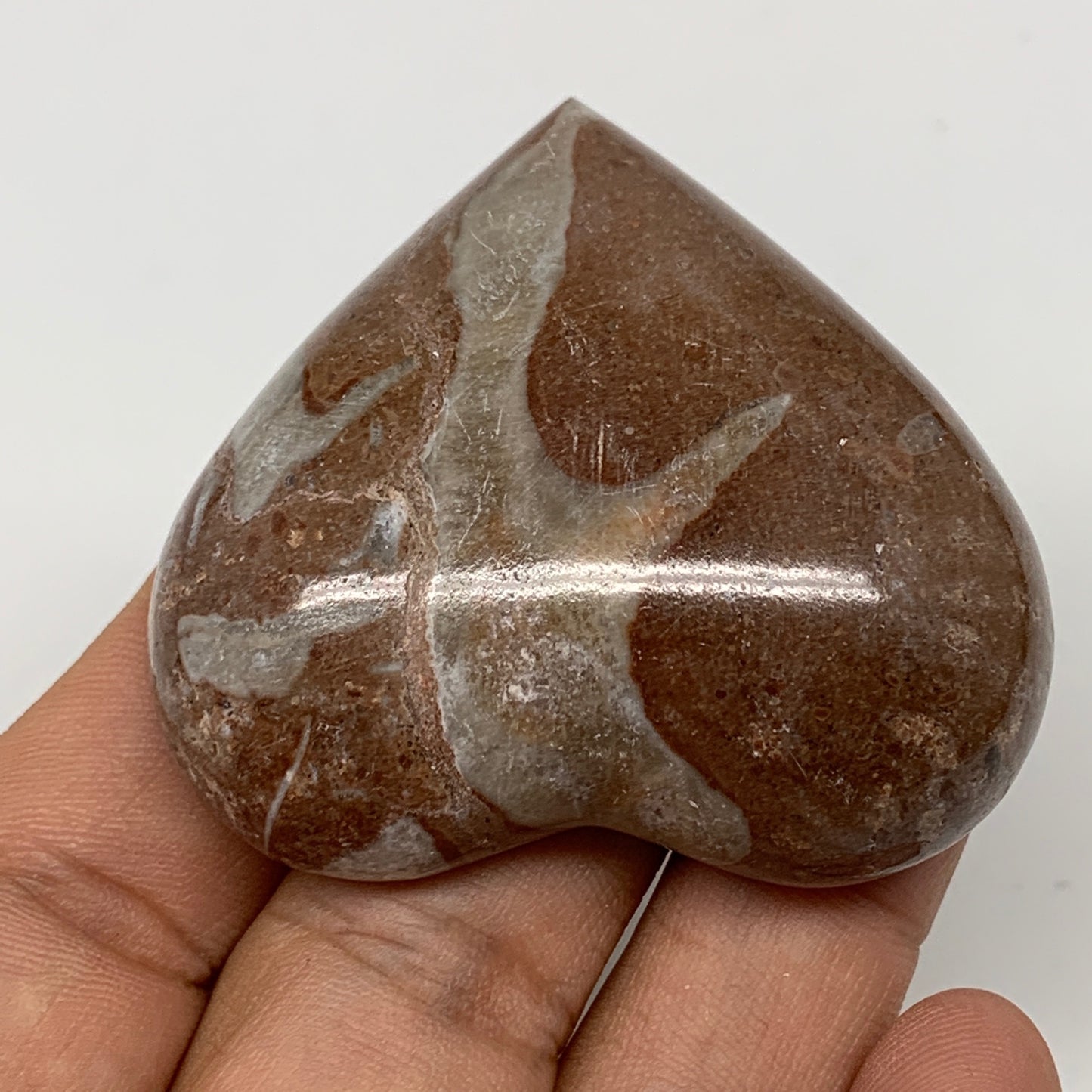 54.9g,1.9"x2"x0.7" Natural Untreated Red Shell Fossils Half Heart @Morocco,F956