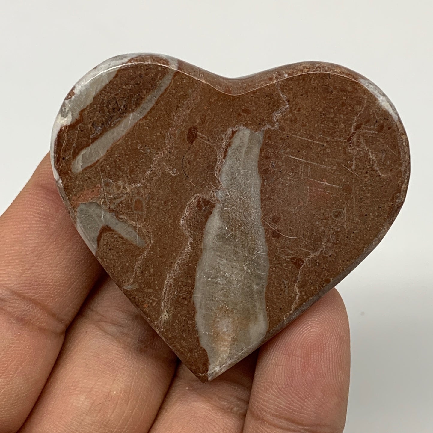 54.9g,1.9"x2"x0.7" Natural Untreated Red Shell Fossils Half Heart @Morocco,F956