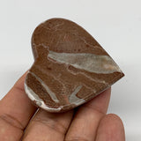 54.9g,1.9"x2"x0.7" Natural Untreated Red Shell Fossils Half Heart @Morocco,F956