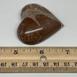 54.9g,1.9"x2"x0.7" Natural Untreated Red Shell Fossils Half Heart @Morocco,F956