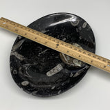 864g, 8.75"x6.5" Black Fossils Ammonite Orthoceras Bowl Oval Ring @Morocco,B8425