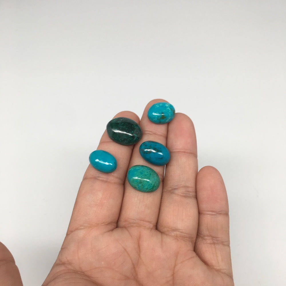 47 cts, 5pcs, Natural Oval Flat Bottom Chrysocolla Cabochons @Mexico,Lot38 - watangem.com