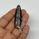 8.7g, 2.4"x0.6"x0.2", Natural Fossils Orthoceras Pendant (Straight Horn),B12525