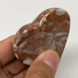 56.5g,2"x2.1"x0.6" Natural Untreated Red Shell Fossils Half Heart @Morocco,F958
