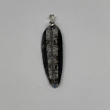 8.7g, 2.4"x0.6"x0.2", Natural Fossils Orthoceras Pendant (Straight Horn),B12525