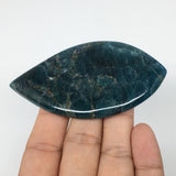 52.5g, 3.3"x1.9" Blue Apatite Cabochon Large Drop Shape @Madagascar,B1721