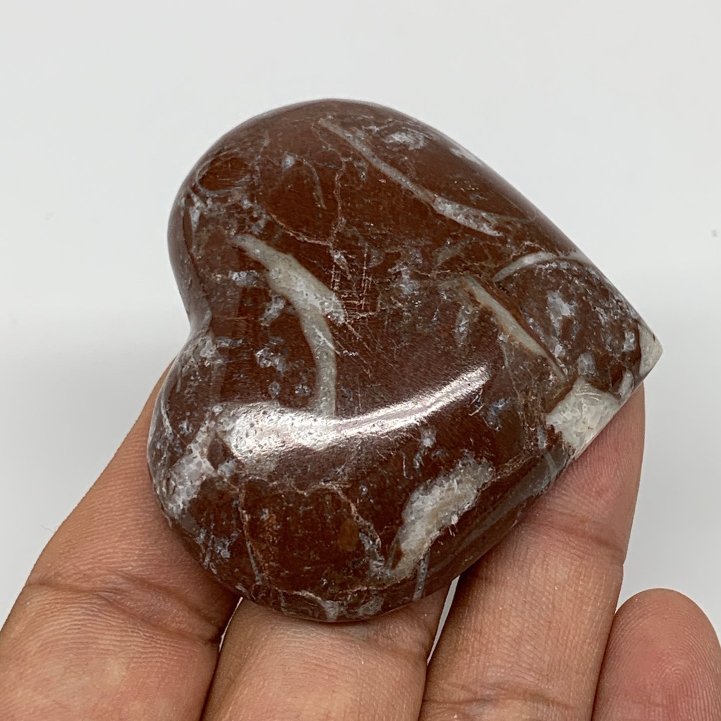 58.1g,2"x2.2"x0.6" Natural Untreated Red Shell Fossils Half Heart @Morocco,F960