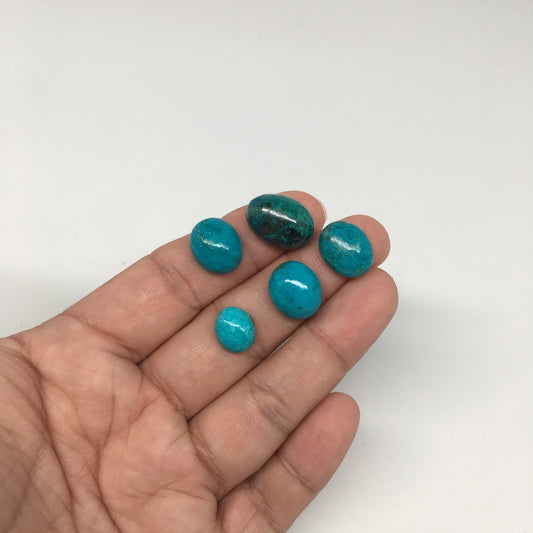 40 cts, 5pcs,Natural Oval Flat Bottom Chrysocolla Cabochons @Mexico,Lot41