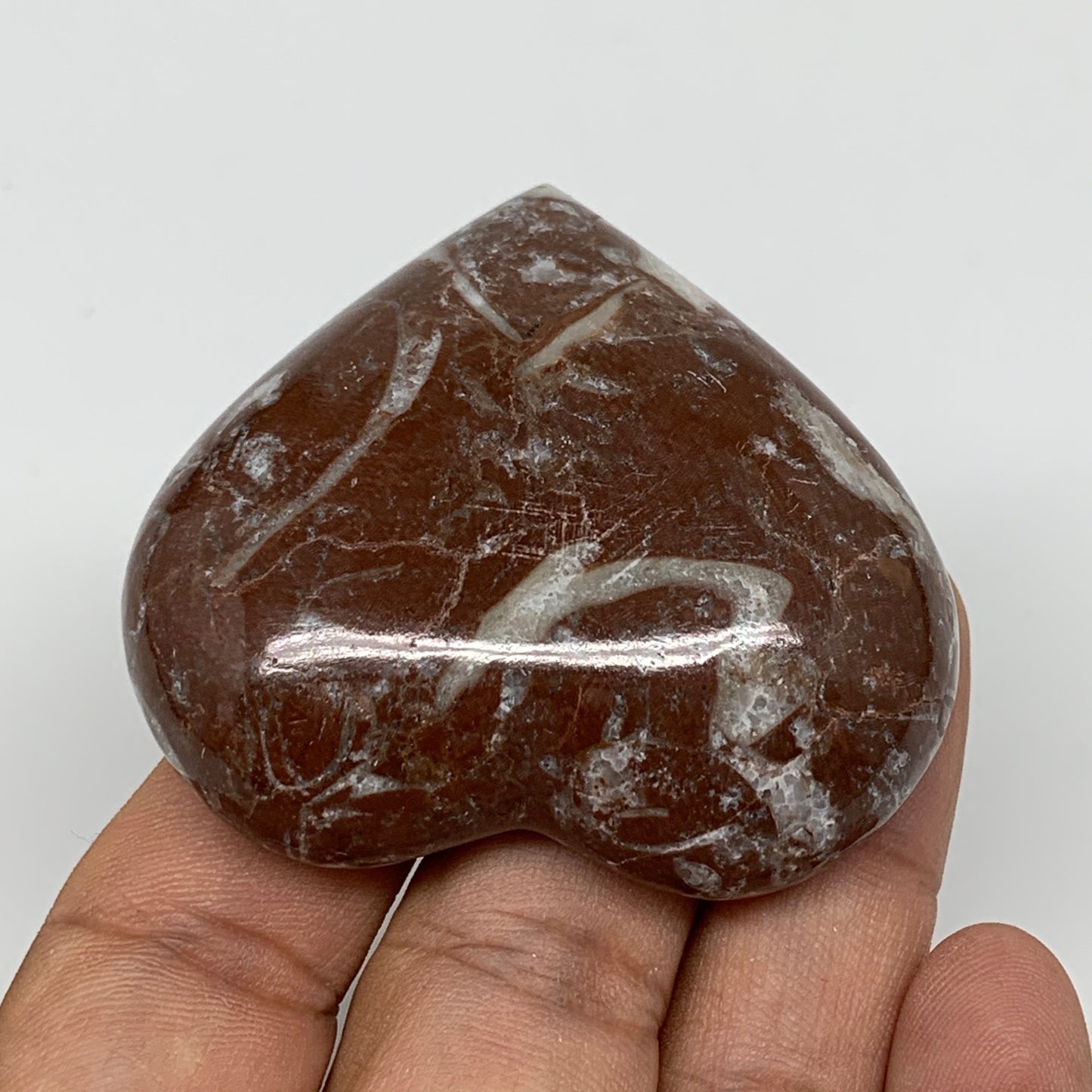 58.1g,2"x2.2"x0.6" Natural Untreated Red Shell Fossils Half Heart @Morocco,F960