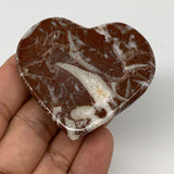 58.1g,2"x2.2"x0.6" Natural Untreated Red Shell Fossils Half Heart @Morocco,F960