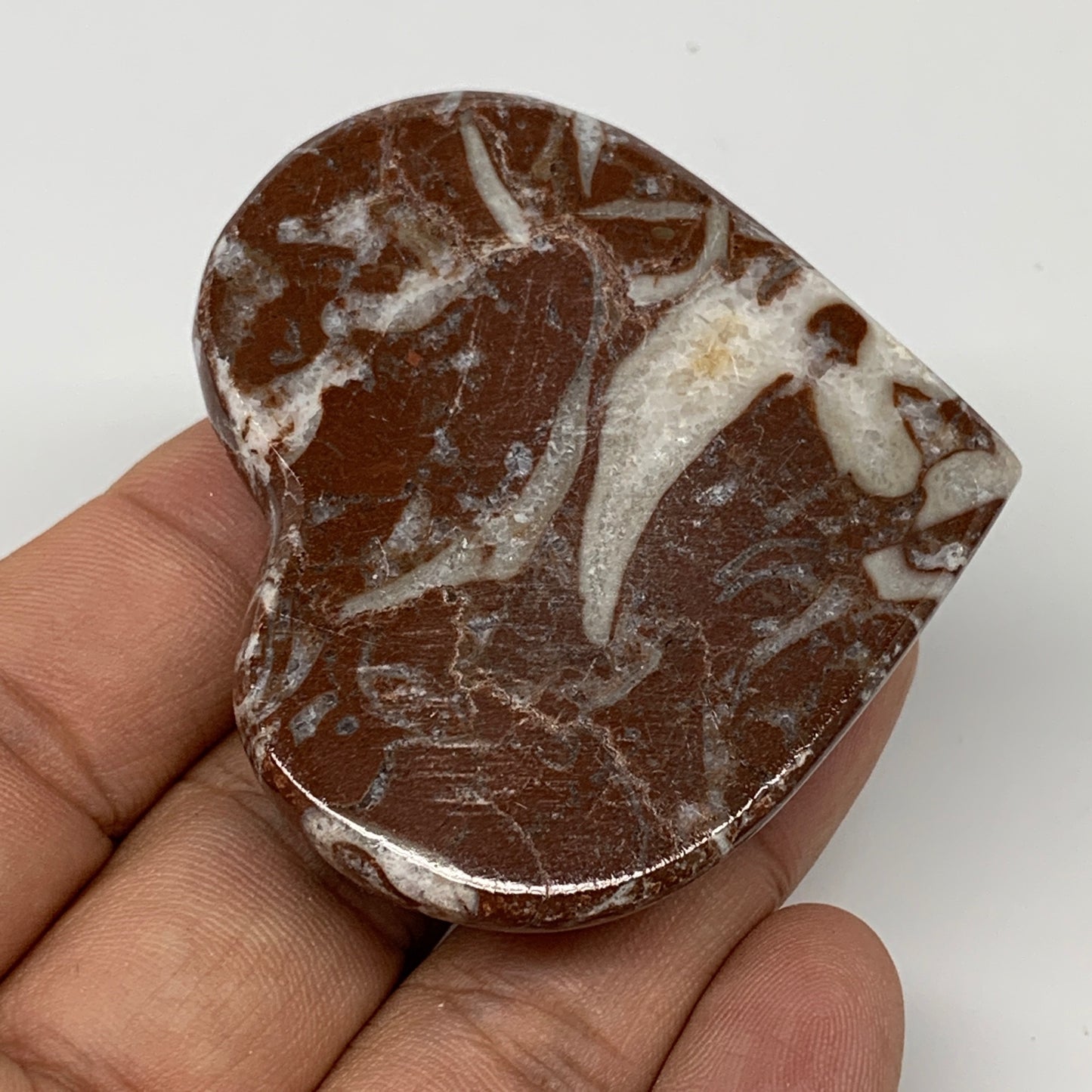 58.1g,2"x2.2"x0.6" Natural Untreated Red Shell Fossils Half Heart @Morocco,F960