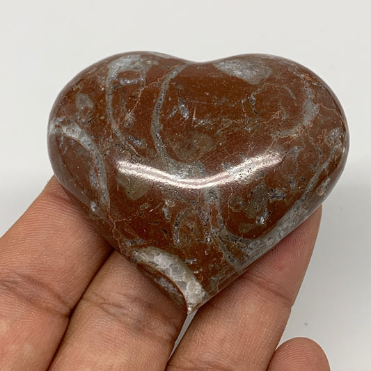 60.4g,2"x2.2"x0.6" Natural Untreated Red Shell Fossils Half Heart @Morocco,F961