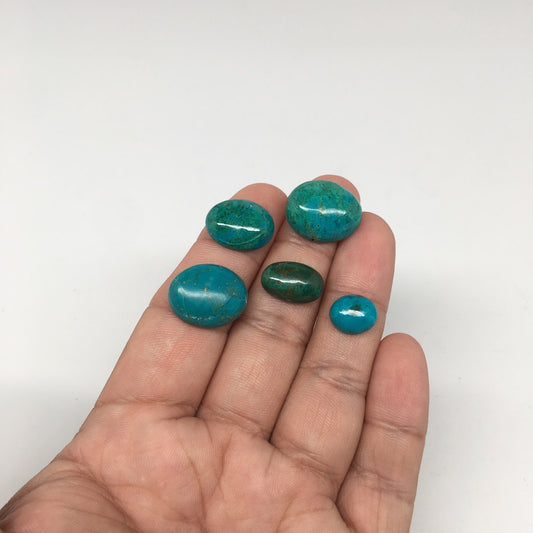 46 cts, 5pcs,Natural Oval Flat Bottom Chrysocolla Cabochons @Mexico,Lot42 - watangem.com