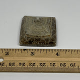40.5g, 0.9"x1.6"x1.5" Chocolate/Gray Onyx Pyramid Gemstone @Morocco, B19018