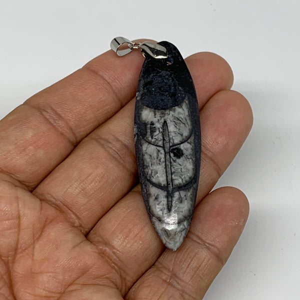 11.1g, 2.3"x0.7"x0.3", Natural Fossils Orthoceras Pendant (Straight Horn),B12528