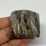 60.7g, 1.2"x1.6"x1.6" Chocolate/Gray Onyx Pyramid Gemstone @Morocco, B19019