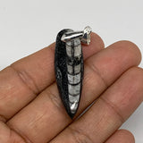 4.82g, 1.6"x0.5"x0.2", Natural Fossils Orthoceras Pendant (Straight Horn),B12530