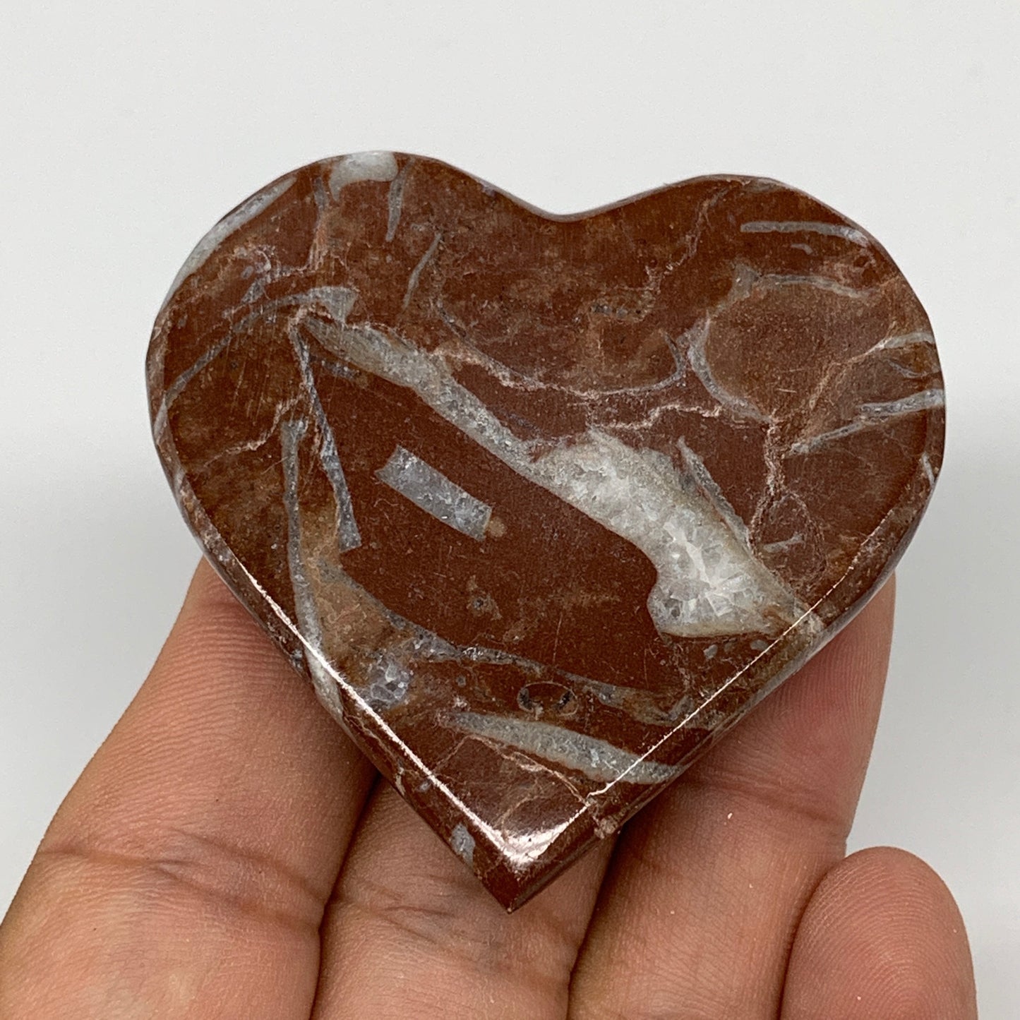 57.9g,2.1"x2.1"x0.6" Natural Untreated Red Shell Fossils Half Heart @Morocco,F96