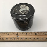 220g, 2.2"x2.4" Small Round Fossils Ammonite Brown Jewelry Box @Morocco,MF909