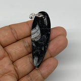 12.3g, 2.5"x0.8"x0.3", Natural Fossils Orthoceras Pendant (Straight Horn),B12533