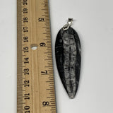 12.3g, 2.5"x0.8"x0.3", Natural Fossils Orthoceras Pendant (Straight Horn),B12533