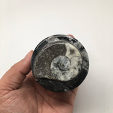 206g, 2.2"x2.3" Small Round Fossils Ammonite Brown Jewelry Box @Morocco,MF912