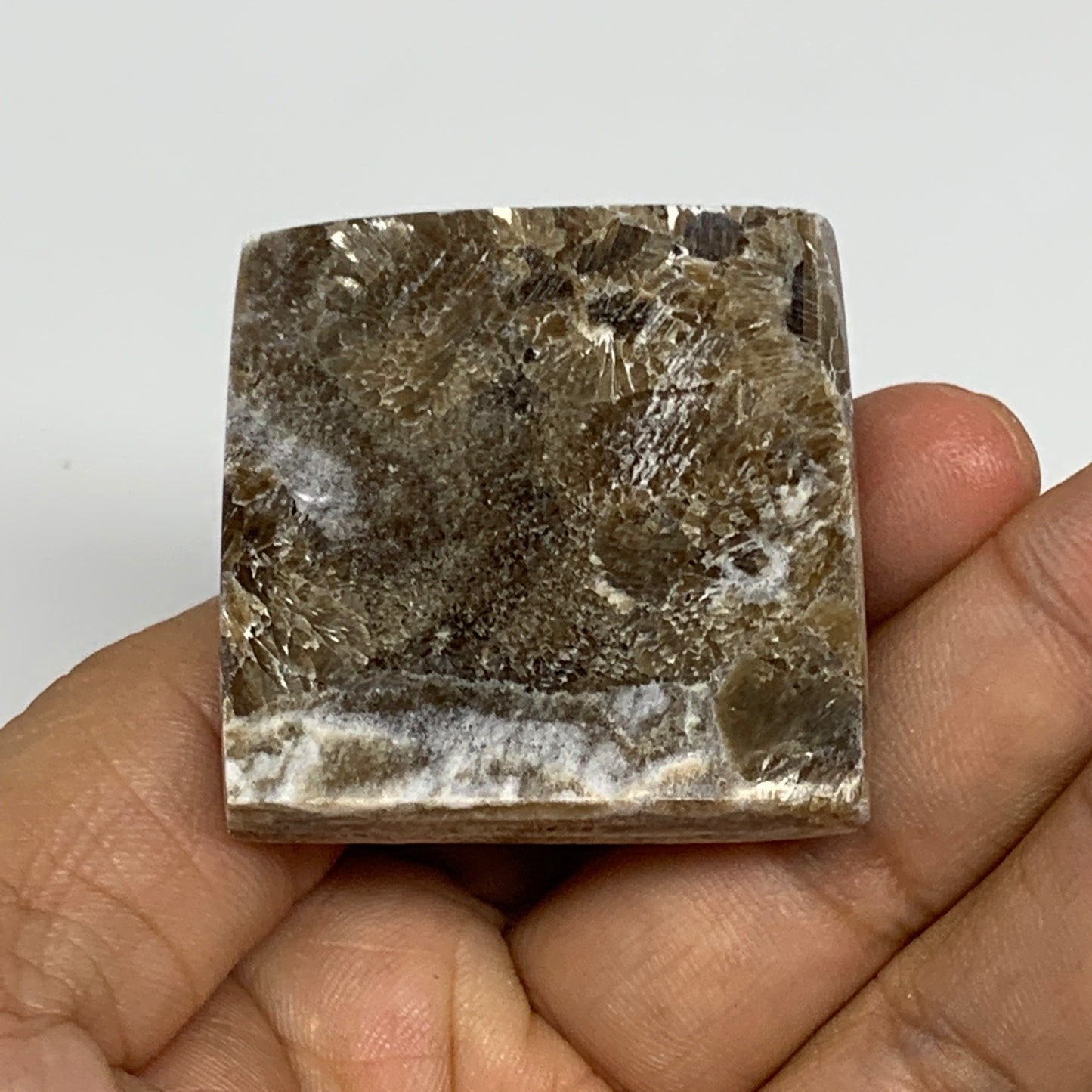 53.3g, 1.1"x1.6"x1.6" Chocolate/Gray Onyx Pyramid Gemstone @Morocco, B19026