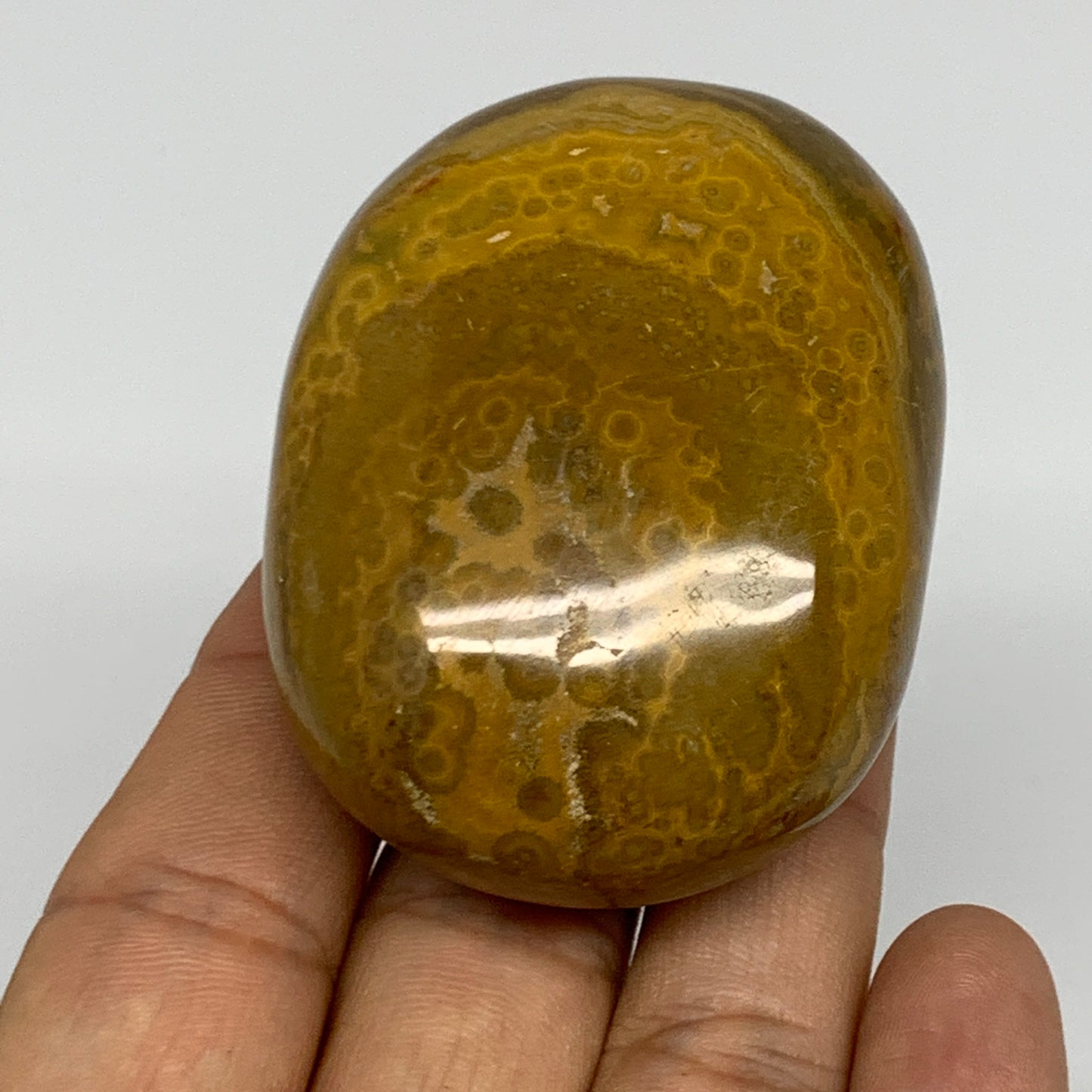 117.7g, 2.3"x1.7"x1.2" Ocean Jasper Palm-Stone Orbicular Jasper Reiki Energy,B16