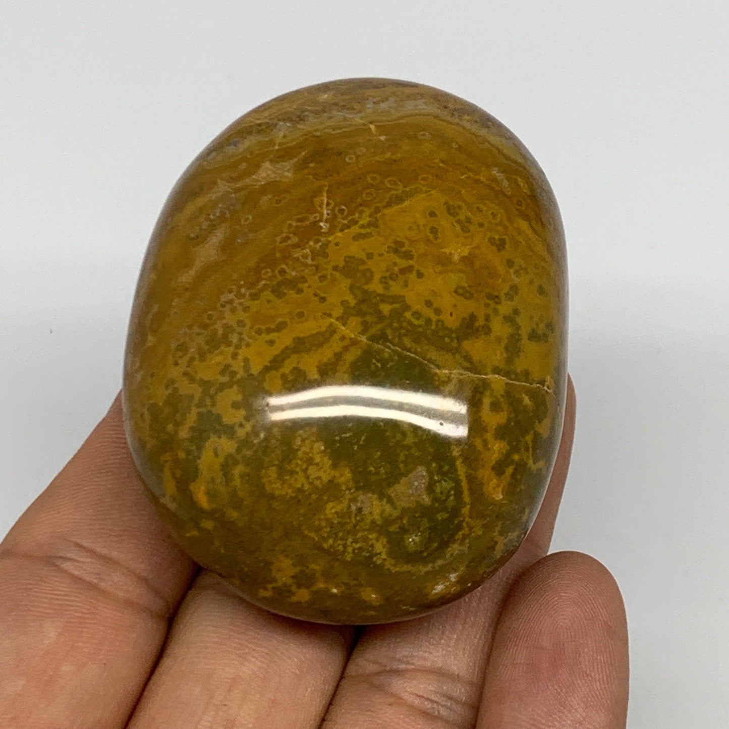 117.7g, 2.3"x1.7"x1.2" Ocean Jasper Palm-Stone Orbicular Jasper Reiki Energy,B16