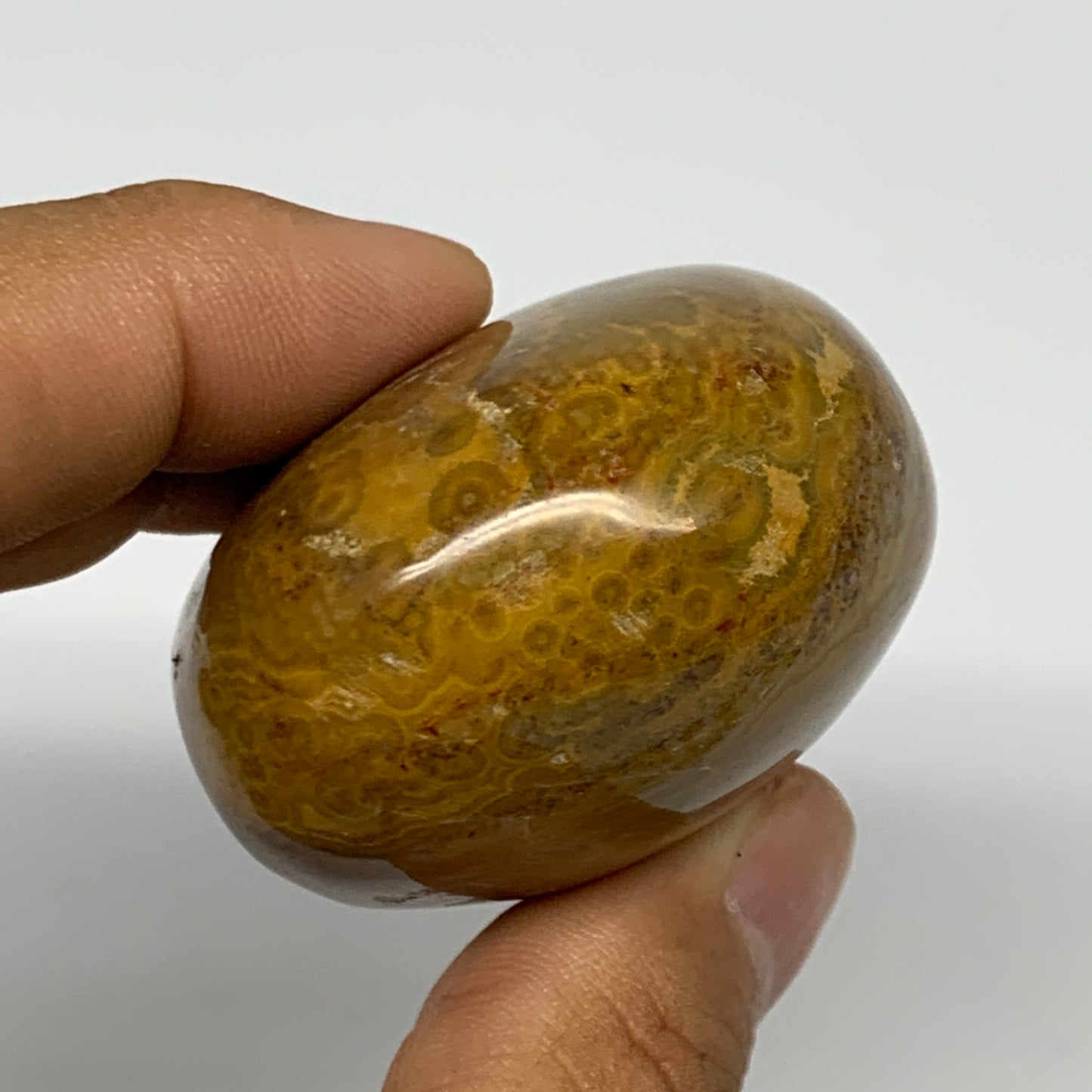 117.7g, 2.3"x1.7"x1.2" Ocean Jasper Palm-Stone Orbicular Jasper Reiki Energy,B16