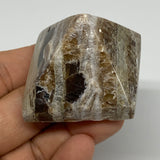 64.8g, 1.3"x1.7"x1.7" Chocolate/Gray Onyx Pyramid Gemstone @Morocco, B19029