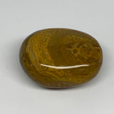 117.7g, 2.3"x1.7"x1.2" Ocean Jasper Palm-Stone Orbicular Jasper Reiki Energy,B16