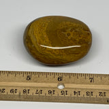 117.7g, 2.3"x1.7"x1.2" Ocean Jasper Palm-Stone Orbicular Jasper Reiki Energy,B16