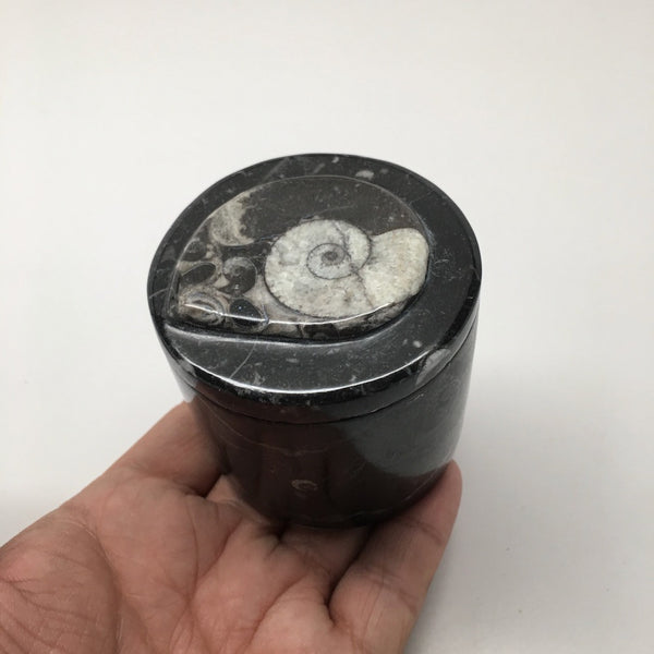 226g, 2.3"x2.4" Small Round Fossils Ammonite Brown Jewelry Box @Morocco,MF916
