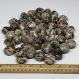 5pcs, 1"-1.5", Chocolate/Gray Onyx Tumbled Polished Gemstone @Morocco, B19032