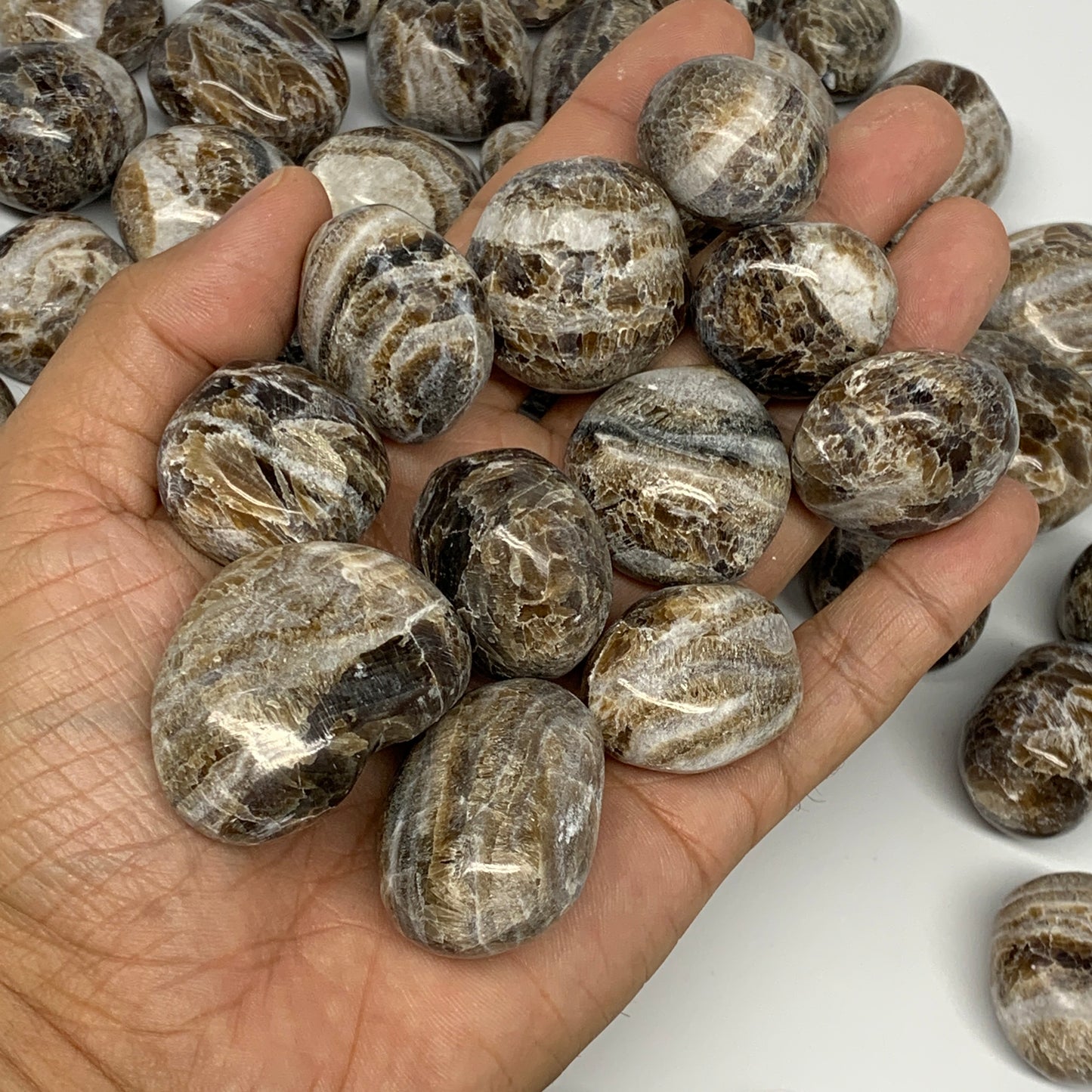 5pcs, 1"-1.5", Chocolate/Gray Onyx Tumbled Polished Gemstone @Morocco, B19032