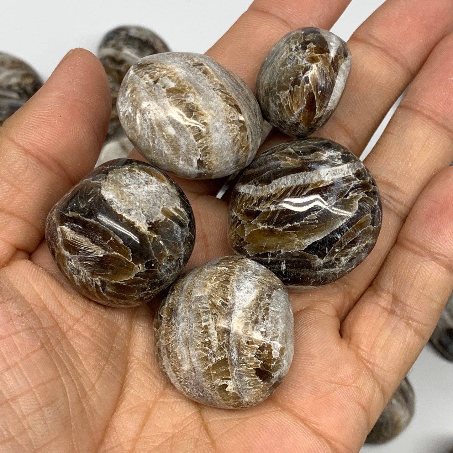 5pcs, 1"-1.5", Chocolate/Gray Onyx Tumbled Polished Gemstone @Morocco, B19032