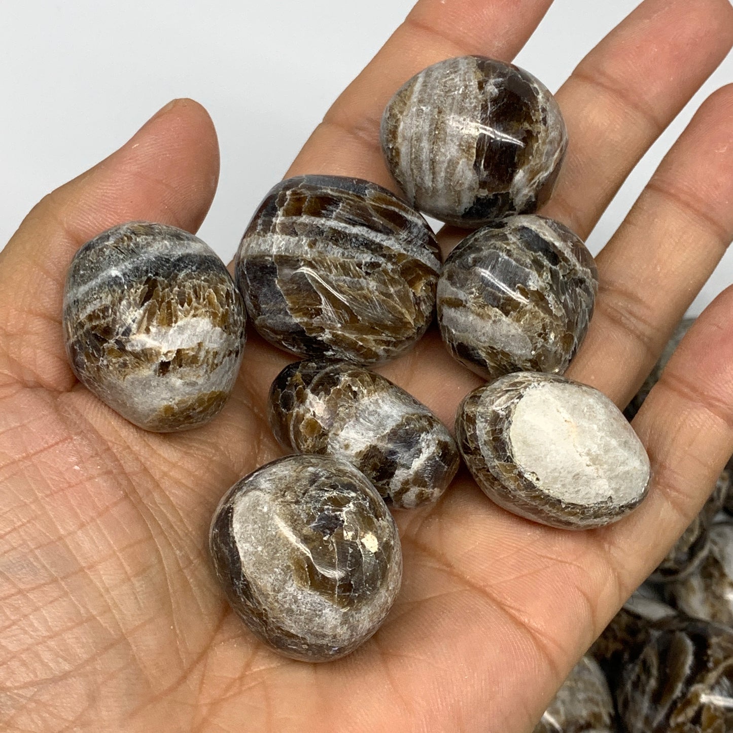 5pcs, 1"-1.5", Chocolate/Gray Onyx Tumbled Polished Gemstone @Morocco, B19032