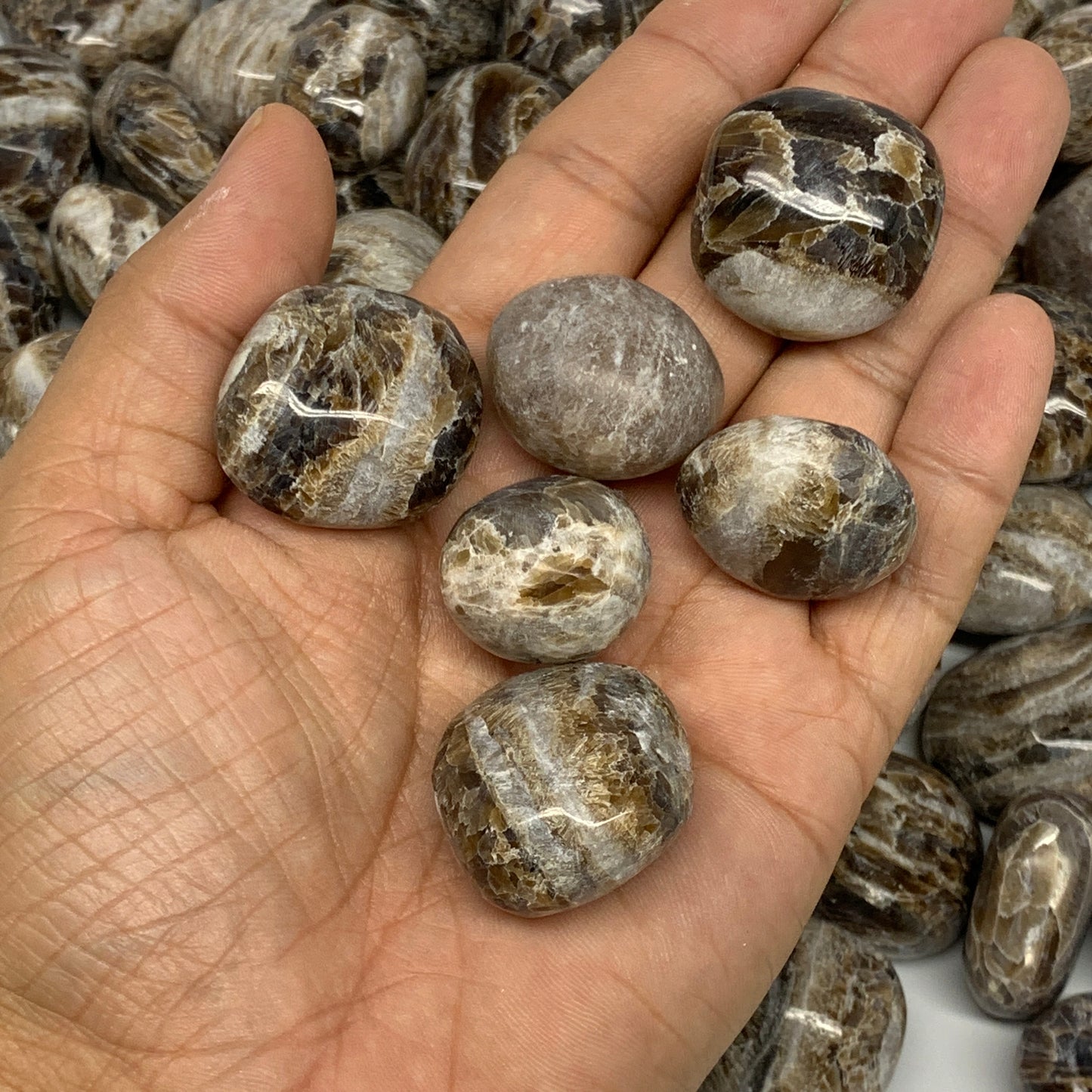 5pcs, 1"-1.5", Chocolate/Gray Onyx Tumbled Polished Gemstone @Morocco, B19032