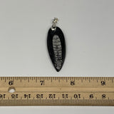 8.1g, 2"x0.7"x0.3", Natural Fossils Orthoceras Pendant (Straight Horn),B12542