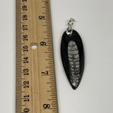 8.1g, 2"x0.7"x0.3", Natural Fossils Orthoceras Pendant (Straight Horn),B12542