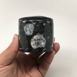 218g, 2.3"x2.4" Small Round Fossils Ammonite Brown Jewelry Box @Morocco,MF920