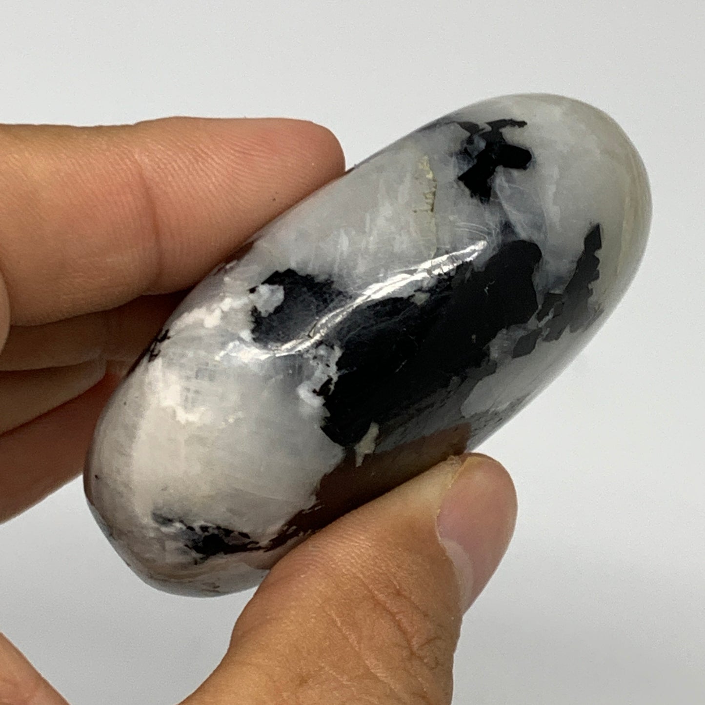 113.3g,2.4"x1.7"x1", Rainbow Moonstone Palm-Stone Polished from India, B21228