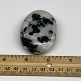 113.3g,2.4"x1.7"x1", Rainbow Moonstone Palm-Stone Polished from India, B21228