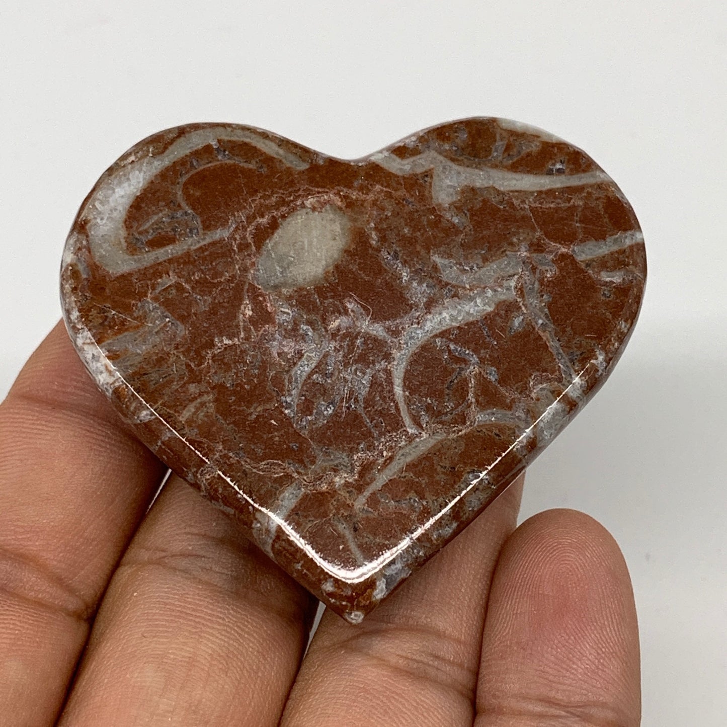 58.4g, 1.9" x 2.2"x 0.6", Natural Untreated Red Shell Fossils Half Heart @Morocc