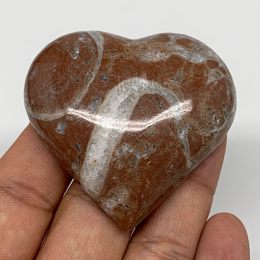 59.9g, 2.1" x 2.2"x 0.6", Natural Untreated Red Shell Fossils Half Heart @Morocc